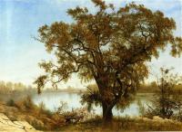 Bierstadt, Albert - A View from Sacramento